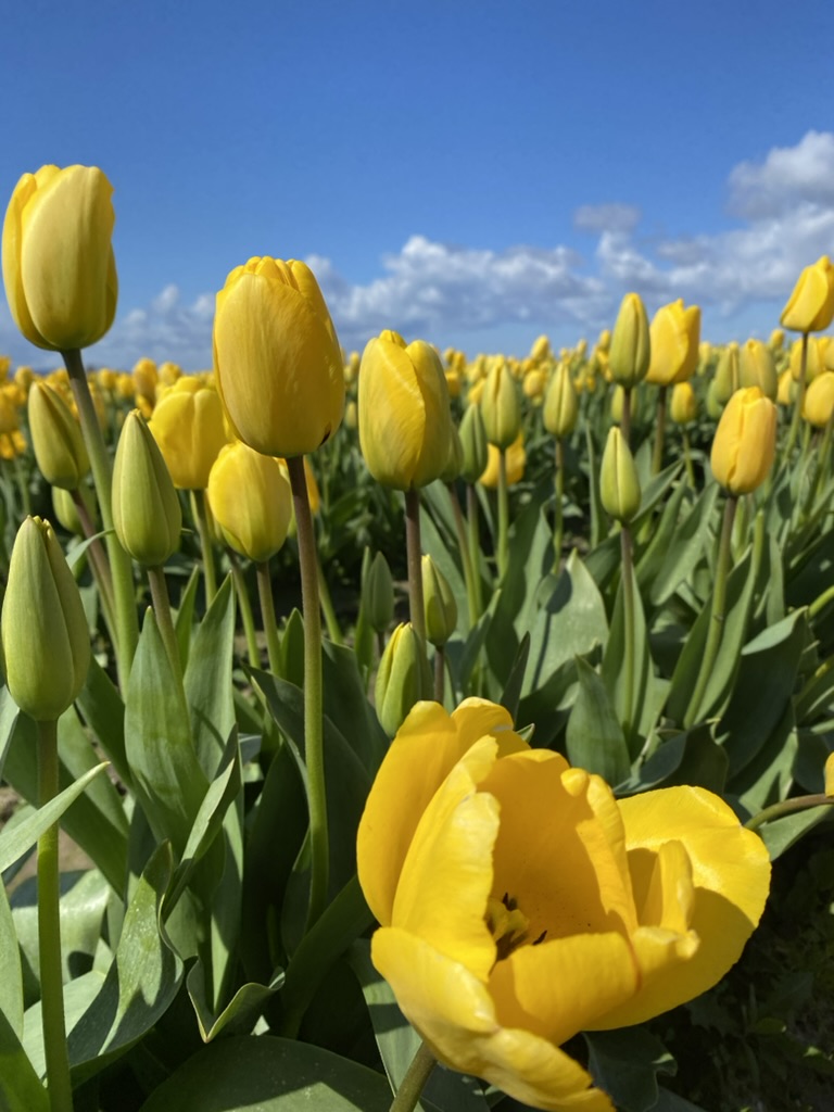 D41AEC8D-671B-4F8B-8526-AB0EB3C1F738_1_105_c