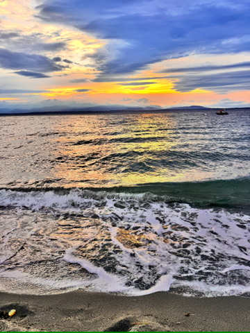 buying a home on Whidbey Island, Whidbey Island real estate tips, waterfront homes Whidbey, Sarah Stone Living